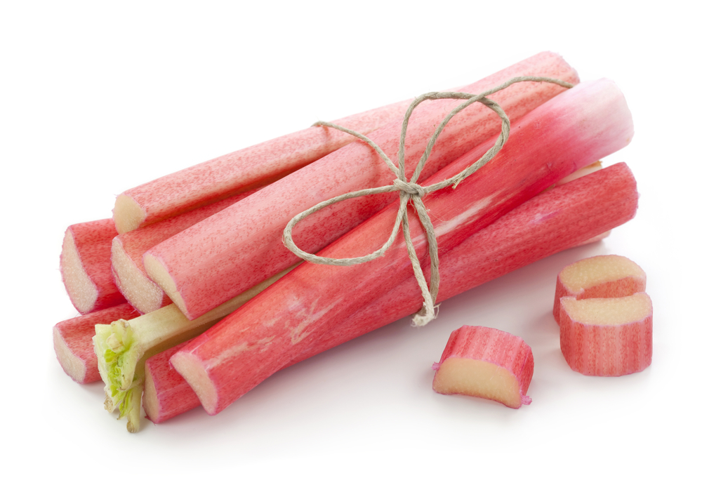 100% Icelandic Organic Rhubarb